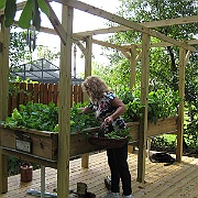Picture 001